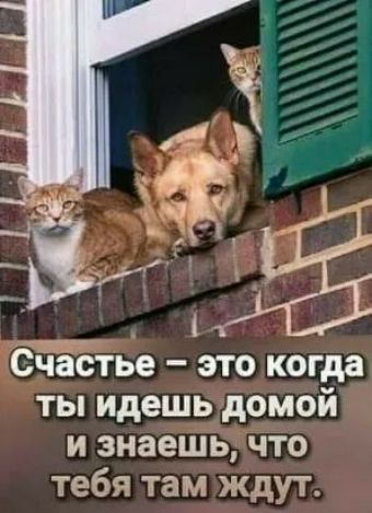 _ Счастье это когда ты идешь домой и знаешь что тебя там ждут