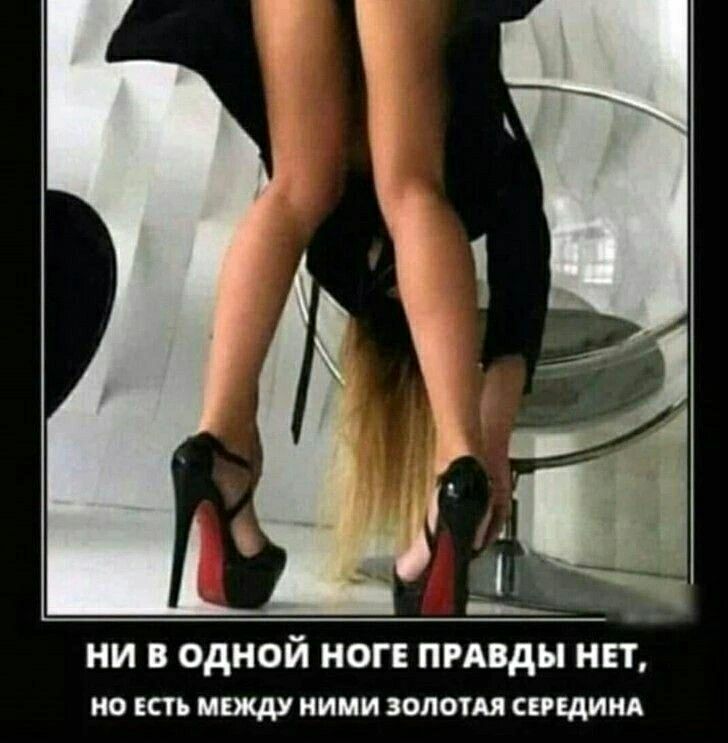 ни одной ног пизды нп 0 КШ НИПИ ЗОЛОТАЯ ищи