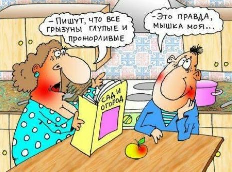 ПишуТчтп все Эть призм ГРНЫчЫ ГЛУПЫЕ И ЩШКА ния