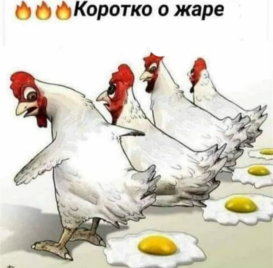 Коротко о жаре