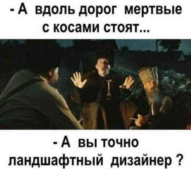 А ВДОЛЬ дОРОГ мертвые С КОСЗМИ СТОЯТ А вы точно ландшафтный дизайнер