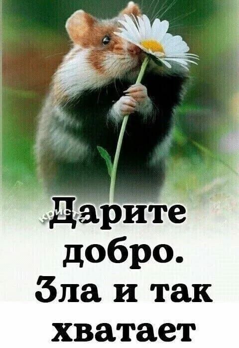 добро бла и так хватает