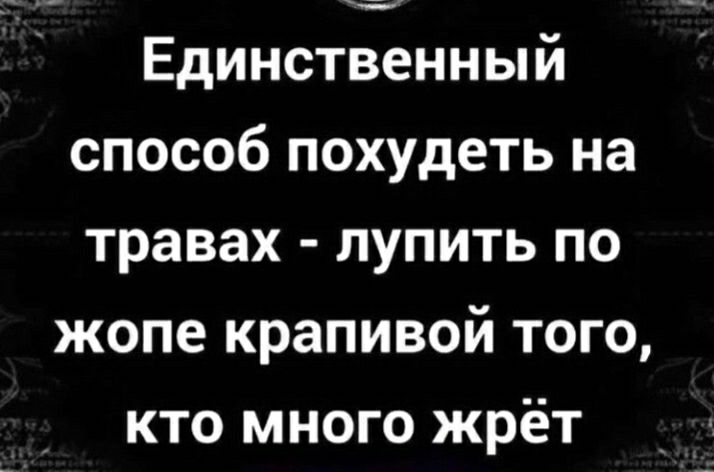 Единственный способ похудеть на травах лупить по жопе крапивой того кто много жрёт