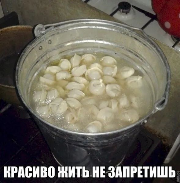нисиво житьиъздпгнишь