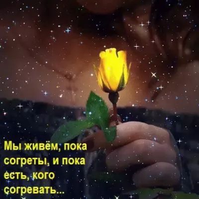 Мы живём пока согреты и пока е_стького сетовать