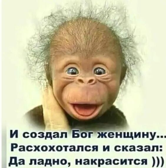 И создал енщииу Расхохотапся и сказал да ладно иакрасится