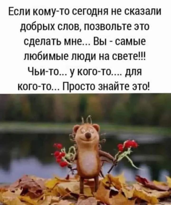 Если кому то сегодня не сказали добрых слов позвольте это сделать мне Вы самые любимые люди на свете Чьи то у когото для кого то Просто знайте это