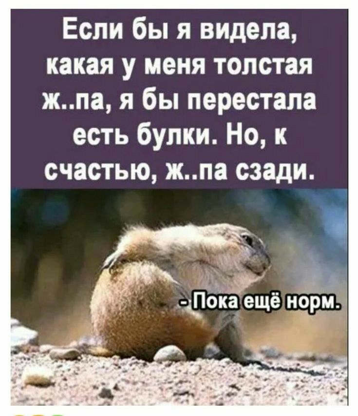 Если бы я видела какая у меня толстая жпа я бы перестала есть булки Но к счастью жпа сзади так і и У _ дПока еще мари