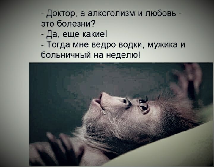 доктщщ а апкогопизм и любовь это болезни Да еще какиеі Тогда мне ведро водм мужика и больничный на неделю
