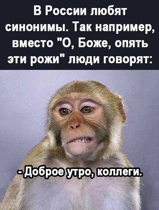 В России любят синонимы Так например вместо О Боже опять эти рожи люди говорят