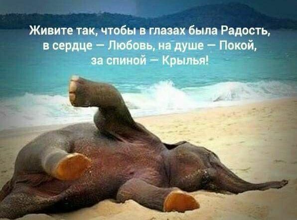 Живите так чтбы глаза была Радость иш Любовь Мише Покой и