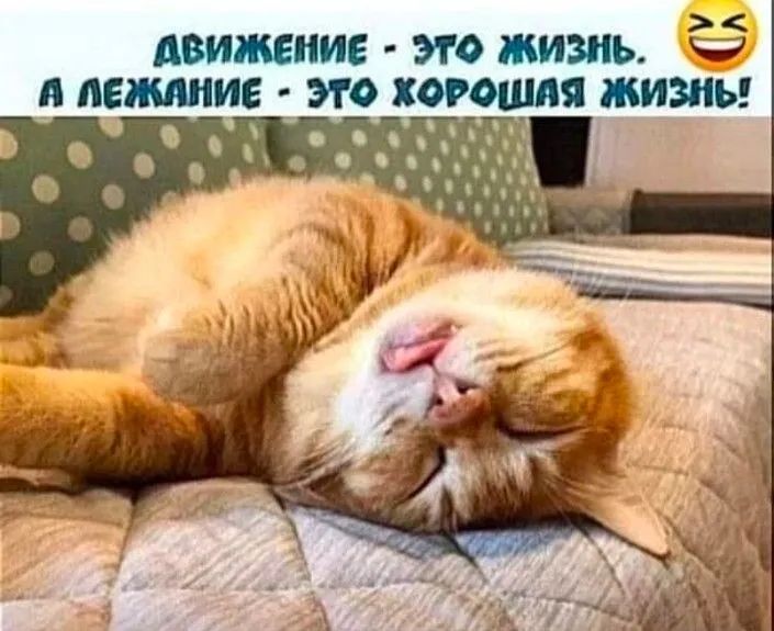 пишит этотъ Ё лишив жигошпяжиш