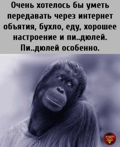 Очень хотелось бы уметь передавать через интернет объятия бухло еду хорошее настроение и пидюпей Пидюпей особенно