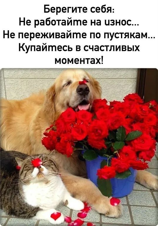 Берегите сеБЯ Не работайте на износ Не переживайте по пустякам Купайтесь в счастливых моментах