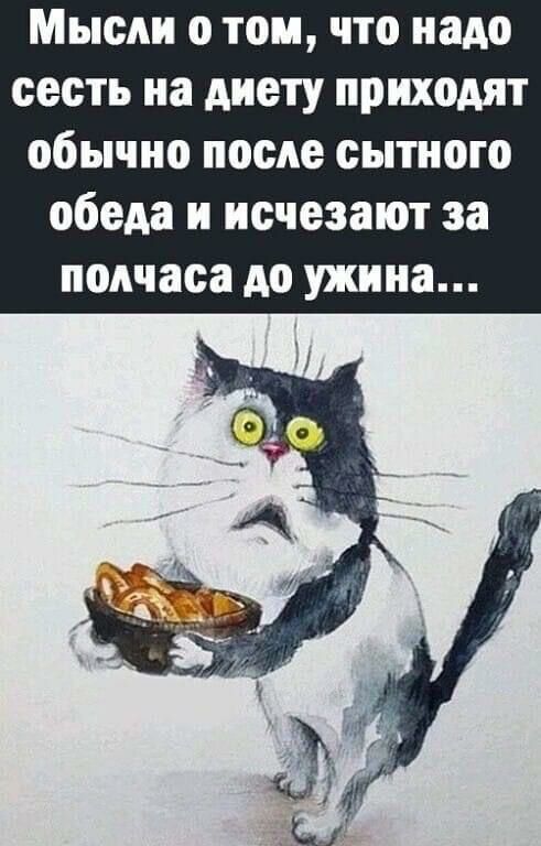 Мысли о том что надо сесть на диету приходят обычно после сытного обеда и исчезают за полчаса до ужина