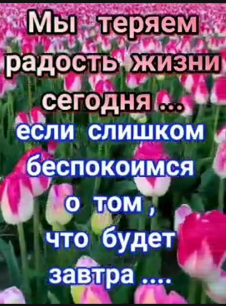 мБвтъ ае дожди радость жизни и 10 1 А сего_дняэ и ч если СЛИШКОМ беспокоимся