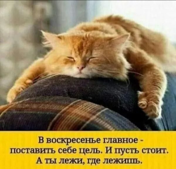 А ты лежи где леж