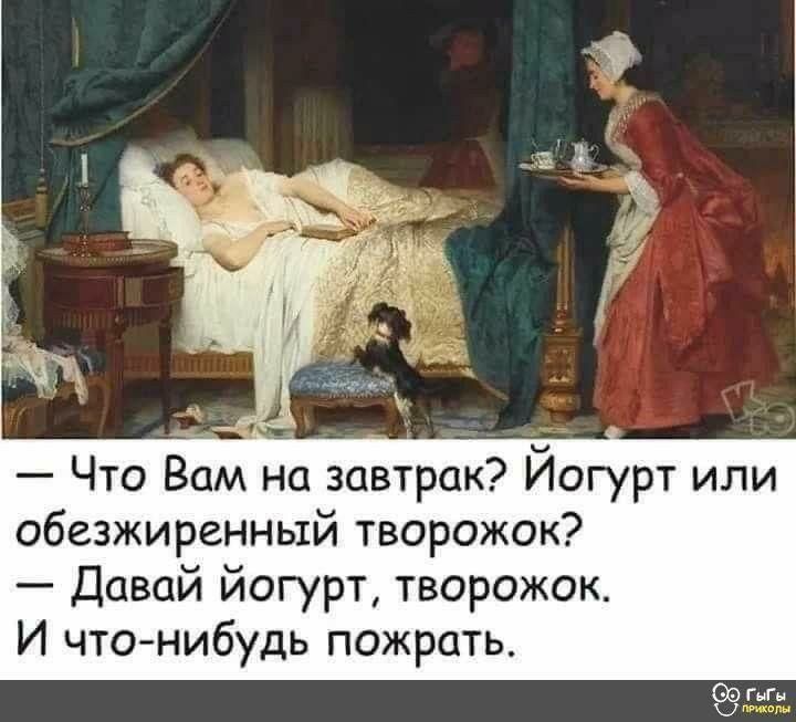 Что Вам на завтрак Йогурт или обезжиренный творожок Давай йогурт творожок И чтонибудь пожрать