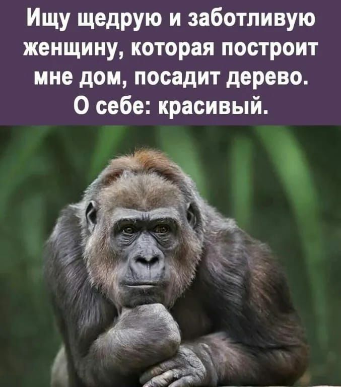 Ищу щедрую и заботливую женщину которая построит мне дом посадит дерево О себе красивый