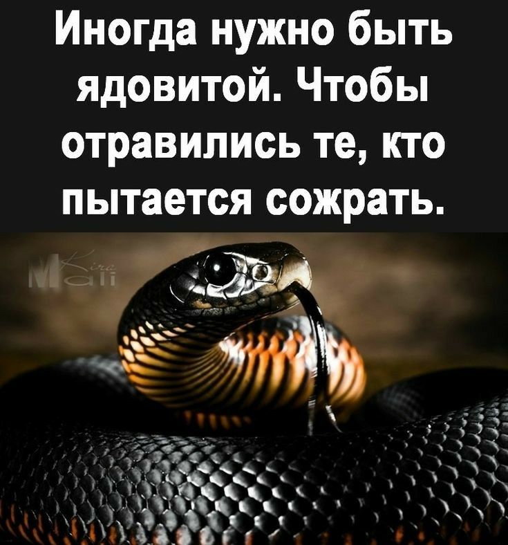 Иногда нужно быть ядовитой Чтобы отравились те кто пытается сожрать
