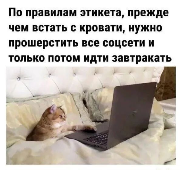 ПО правилам этикета прежде ЧЕМ встать с кровати НУЖНО ПРОШЕРСТИТЬ все соцсети И ТОЛЬКО ПОТОМ идти завтракать