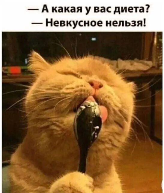 А какая у вас диета Невкусное нельзя