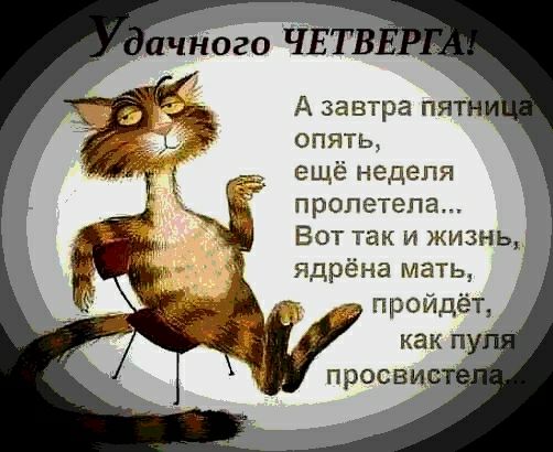 ещё неделя пролетела Вот Так и жизнь ядрёна мать пройдёт