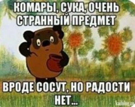 вгодгсосит но щости ип