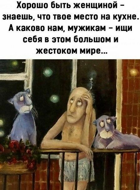 Хорошо Быть женщиной знаешь что твое место на кухне А каково нам мужикам ищи себя в этом Большом и жестоком мире