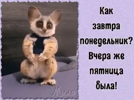 Как завтра понедельник Вчера же пятница