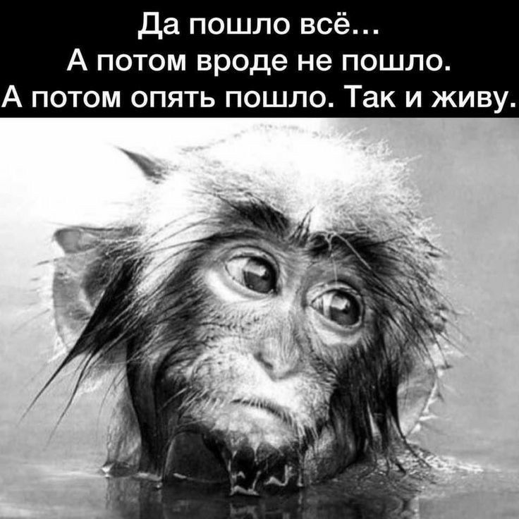 да пошло всё А потом вроде не пошло А потом опять пошло Так и живу