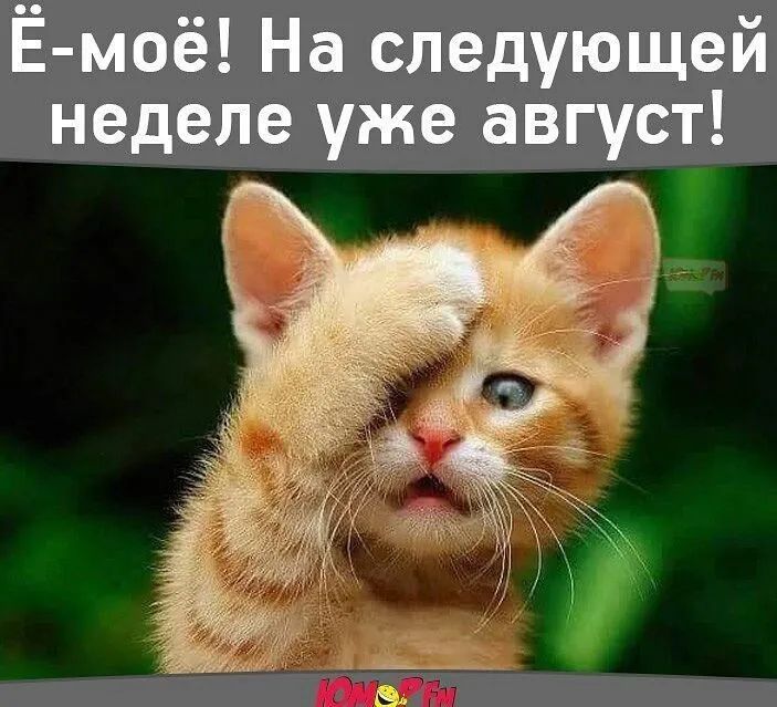 Ё моё На следующей неделе уже август