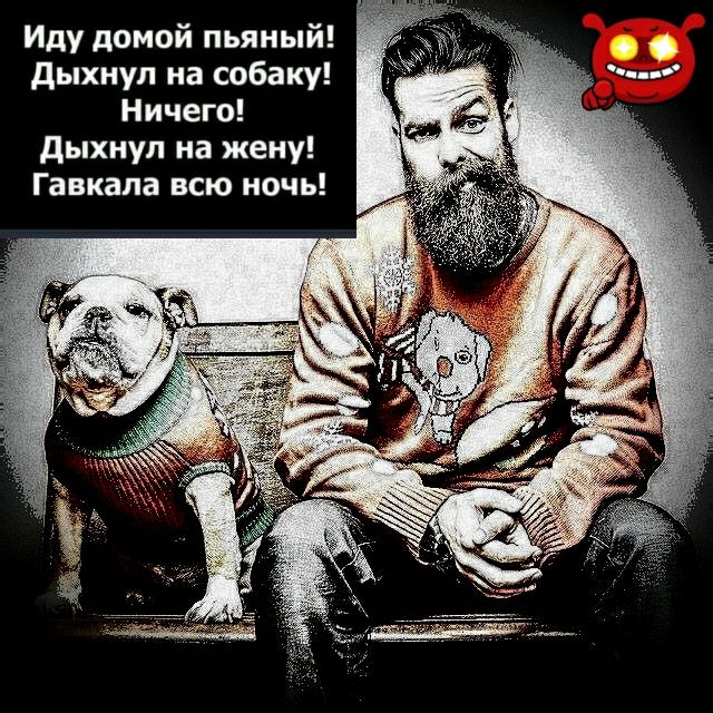 Иду домой пьяный дыхмул на собаку Ничего дыхиуп на жену Гавкапа всю ночь