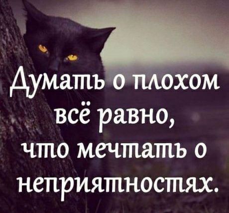 Думать хом _ всё равно что мечтать о неприятностях