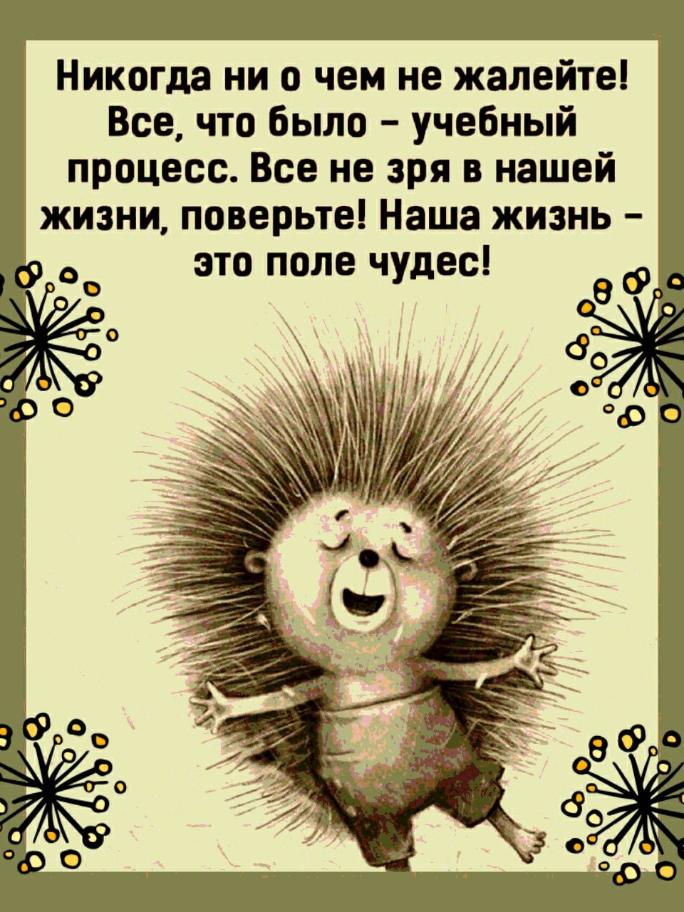Никогда ни о чем не жалейте Все что было учебный процесс Все не зря в нашей жизни поверьте Наша жизнь это поле чудес