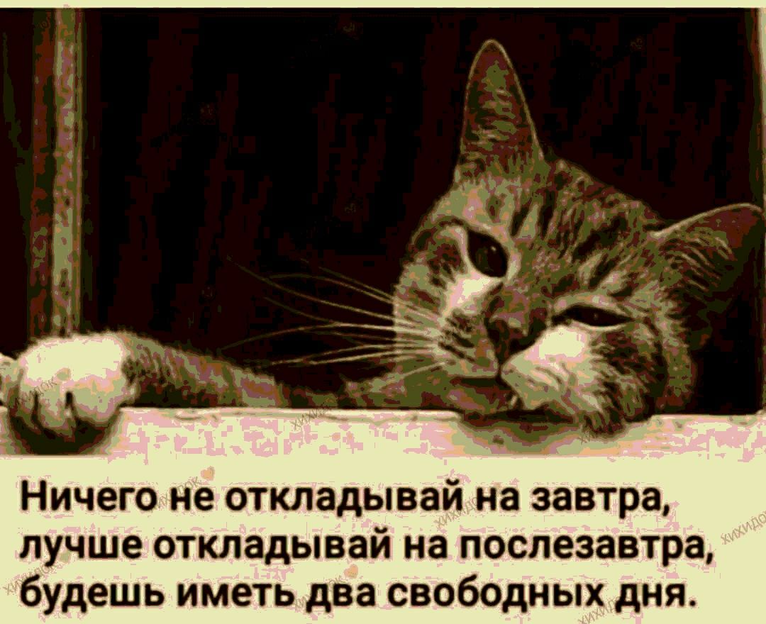 Ничего не откладывай на завтра лучше откладывай на послезавтра будешь иметь два свободных дня