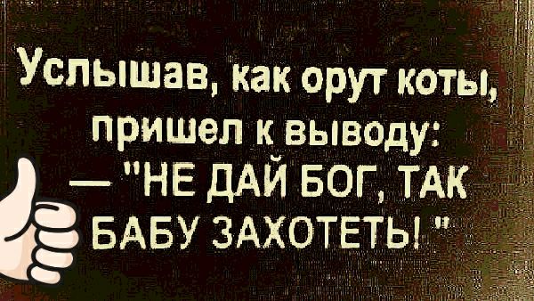 Услышав как орут коты пришел К выводу _нв ДАЙ БОГ ТАК БАБУ здхотвты