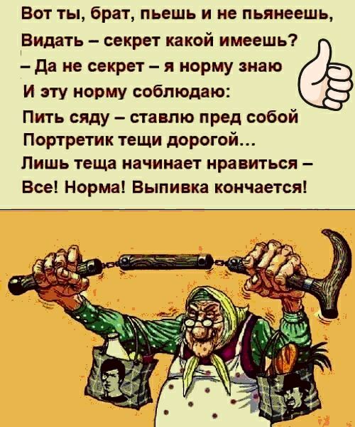 Вот ты брат пьешь и не пьянеешь Видать секрет какой имеешь да не секрет я норму знаю И эту норму соблюдаю Пить сяду ставлю пред собой Портретик тещи дорогой Лишь теща начинает нравиться Все Норма Выпивка коичаетсяі