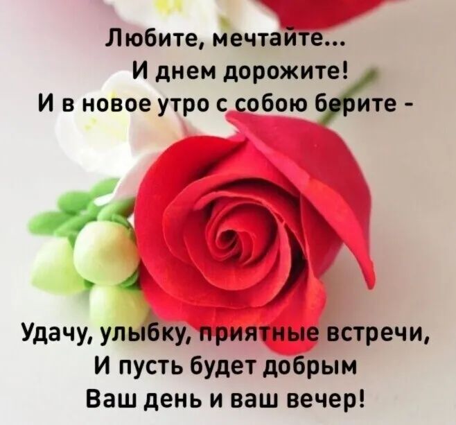 Любите мечтайте И днем дорожите И в новое утро с собою 6 ите 94 і 9 Удачу улыбку приятные встречи И пусть будет добрым Ваш день и ваш вечер