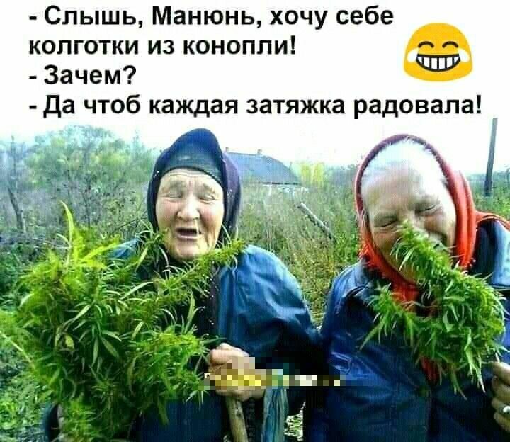 Слышь Манюнь хочу себе колготки из конопли Зачем да чтоб каждая затяжка радовала