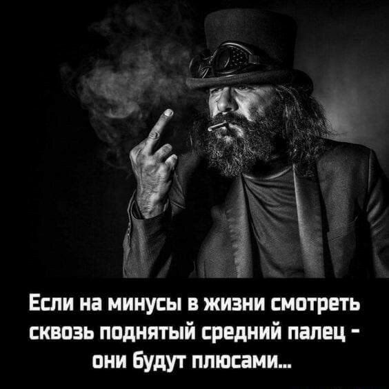 Если на минусы жизни смотреть сквозь поднятый средний палец пни Будут плюсами