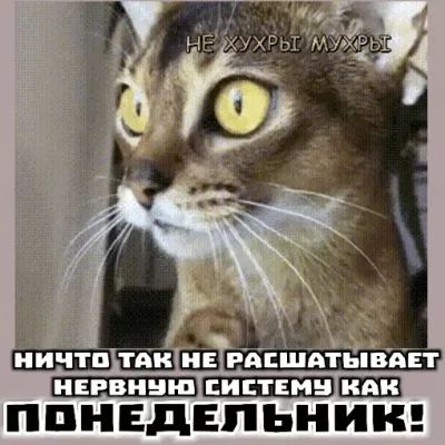 _тззшздвшзш ППНЕДЕПЬНИН