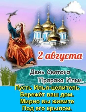 мы сагэ