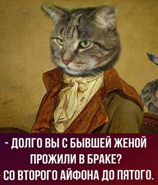 дОЛГО ВЫ О БЫВШЕЙ ЖЕНОЙ ПРОЖИЛИ В БРАКЕ ОО ВТОРОГО АЙФОНА ЦО ПЯТОГО