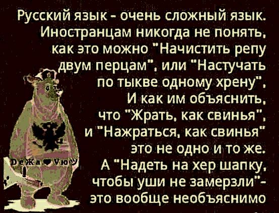Русский язык очень сложный язык Иностранцам никогда не ПОНЯТЬ как это можно Начистить репу двум перцем или Настучать пп тыкве одному хрену И как им объяснить что Жрать как свинья и Нажраться как свинья это не одно и то же чтобы уши не замерзли это вообще необъяснимо