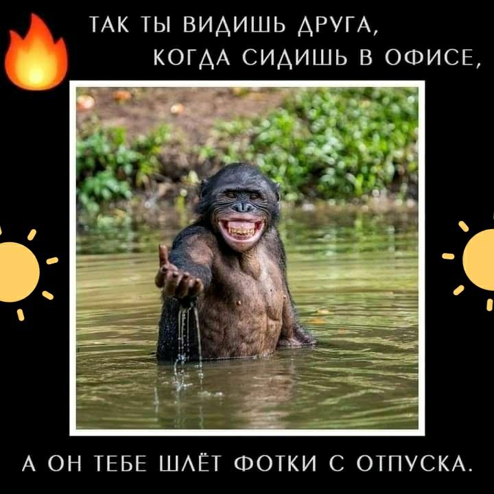 ТАК ТЫ ВИАИШЬ АРУГА КОГАА СИАИШЬ В ОФИСЕ А ОН ТЕБЕ ШАЁТ ФОТКИ С ОТПУСКА
