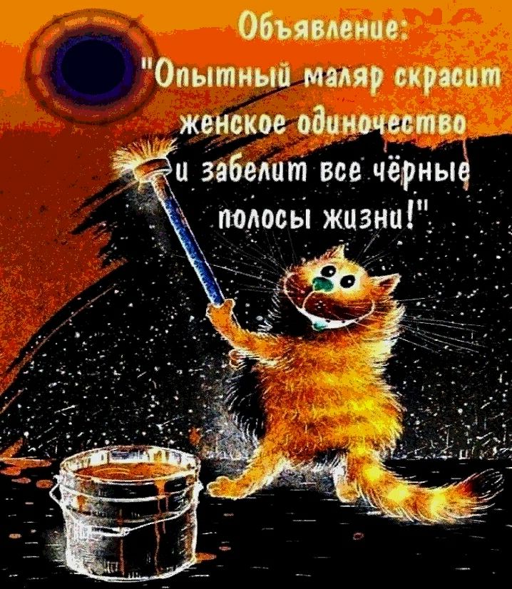 Объявление Опытный миля скрипт женское админами и забыты все чёриыа о жданпг ЁЁ