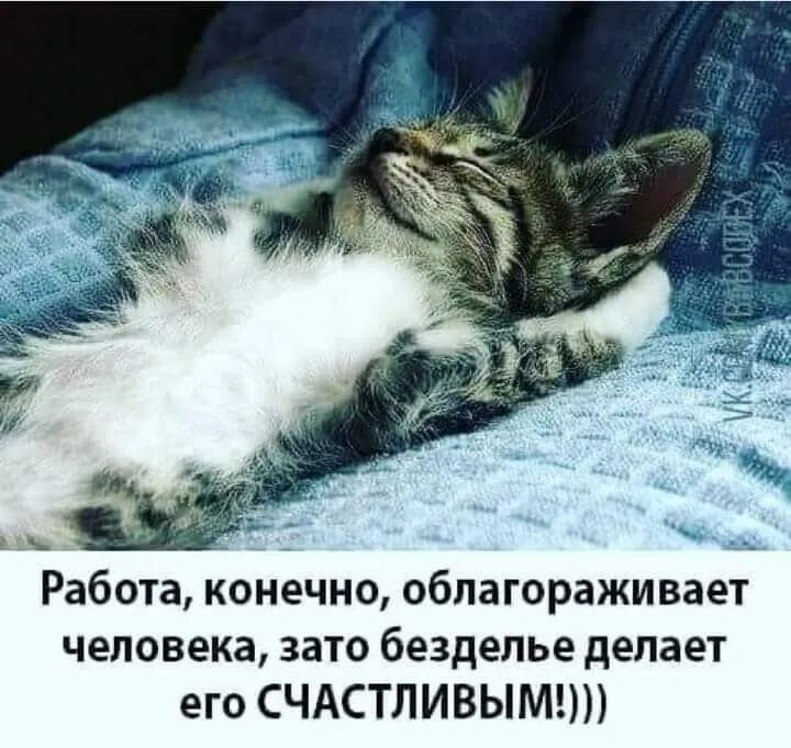 Работа конечно облагораживаетА человека зато безделье делает его СЧАСТЛИВЫМ