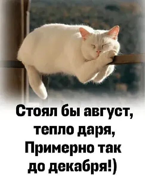 Отояп бы август тепло даря Примерно так до декабря