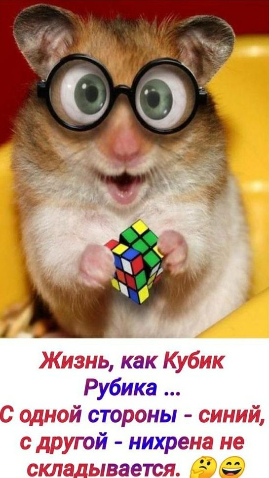 Жизнь как Кубик Рубика С одной стороны синий с другой нихрена не 3 я